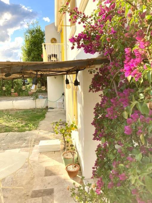 La Suite De La Maison Jaune Μονπελιέ Εξωτερικό φωτογραφία